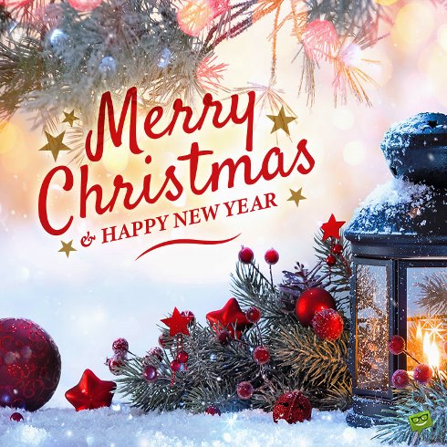 Christmas-wishes-to-Neighbours-7